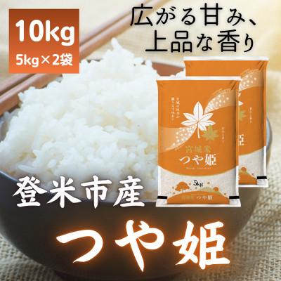 ふるさと納税 登米市 令和7年産　宮城県登米市産つや姫(精米)5kg×2袋セット | 