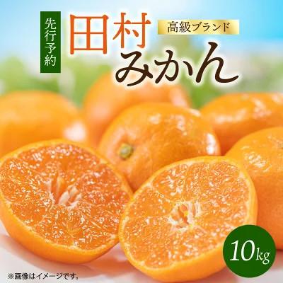 ふるさと納税 湯浅町 [2026年11月下旬より発送]高級ブランド田村みかん 2S〜Lサイズ 10kg(和歌山県湯浅町)