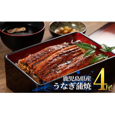 ふるさと納税 鹿屋市 鹿児島県産 うなぎ蒲焼き 4尾セット 1652-1