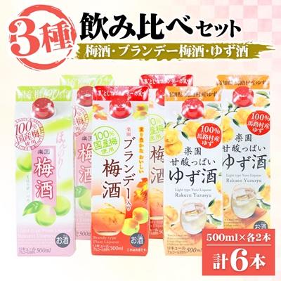ふるさと納税 清須市 梅酒・ゆず酒　500mlパック　6本セット(3種類×各2本) | 