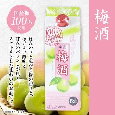 ふるさと納税 清須市 梅酒・ゆず酒　500mlパック　6本セット(3種類×各2本) |  | 01