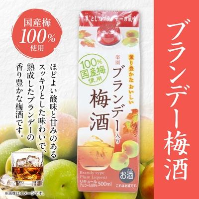 ふるさと納税 清須市 梅酒・ゆず酒　500mlパック　6本セット(3種類×各2本) |  | 02