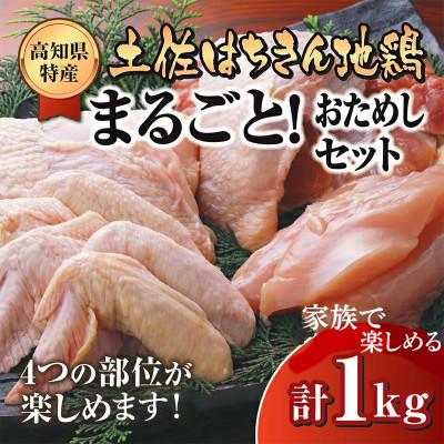ふるさと納税 須崎市 土佐はちきん地鶏 1羽まるごと! おためしセット
