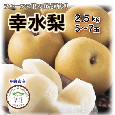 ふるさと納税 朝倉市 フルーツの里の直売所より 幸水梨5〜7玉(7月下旬発送)