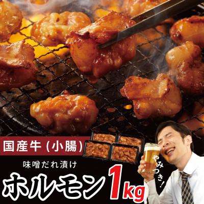 ふるさと納税 泉佐野市 国産 牛肉 ホルモン 1kg 味噌だれ漬け 焼肉用 小分け 250g×4P 099H4494