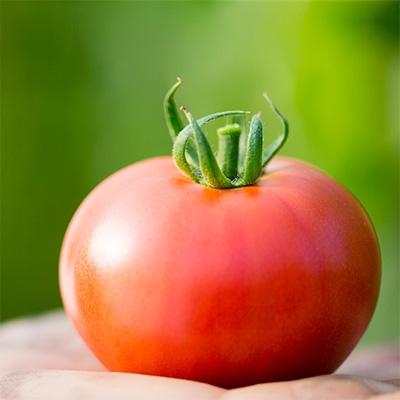 ふるさと納税 門川町 かどがわ ひなたのとまと 2.2kg(1.1kg×2箱)