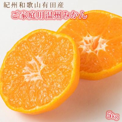ふるさと納税 広川町 [2026年11月下旬より発送][ご家庭用訳アリ]紀州有田産濃厚完熟温州みかん 5kg(広川町)