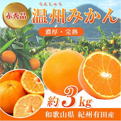 ふるさと納税 広川町 [2026年11月下旬より発送]赤秀品紀州有田産濃厚完熟温州みかん3kg(MorSサイズ)(広川町)