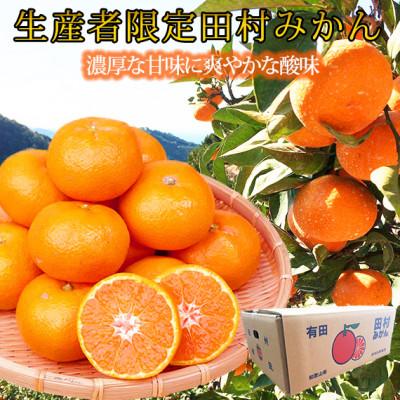 ふるさと納税 広川町 [2026年11月下旬より発送]高級ブランド田村みかん10kg(和歌山県広川町)