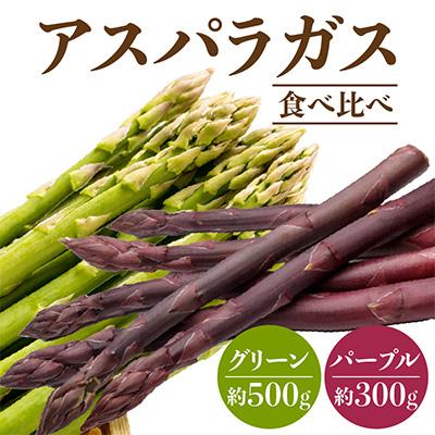 ふるさと納税 高松市 [先行受付2026年]グリーン(約500g)・パープル(約300g)アスパラガス食べ比べセット