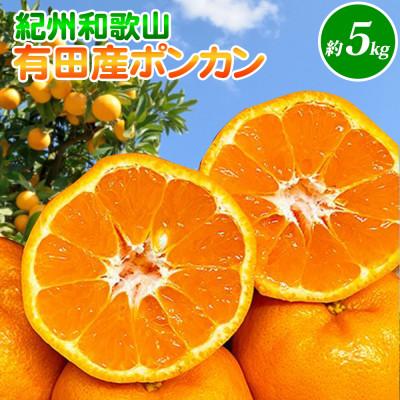 ふるさと納税 広川町 紀州和歌山有田産ポンカン 5kg[広川町]