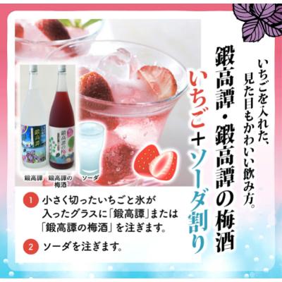 ふるさと納税 白糠町 しそ焼酎 鍛高譚(たんたかたん)・鍛高譚の梅酒[1800ml]飲み比べセット【2本セット】 |  | 03