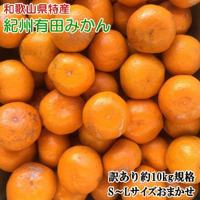 ふるさと納税 湯浅町 [訳あり]和歌山有田みかん約10kg(S〜Lサイズ)「先行受付2026年11月中旬より順次発送」