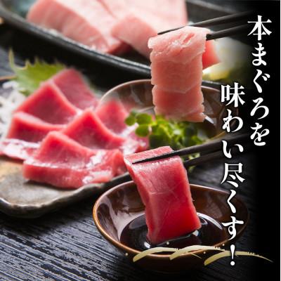 ふるさと納税 津久見市 【本まぐろ】中トロ 約500g・赤身 約600gセット