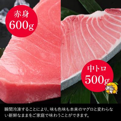 マグロ赤身 中とろ 数まま ふるさと納税 津久見市 【本まぐろ】中トロ 約500g・赤身 約600gセット