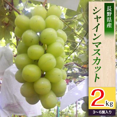 ふるさと納税 長野市 長野県長野市産シャインマスカット2kg(3〜6房入り)