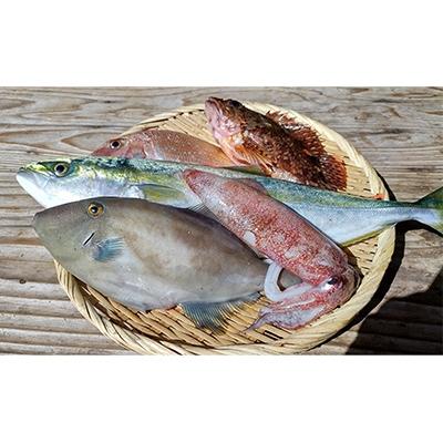 ふるさと納税 美浜町 春から初夏の鮮魚セット 1.2kg
