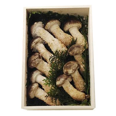 ふるさと納税 世羅町 松きのこ 350g(桐箱入り)