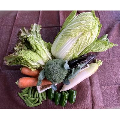 ふるさと納税 吉野ヶ里町 よしのがり野菜セット(8品)