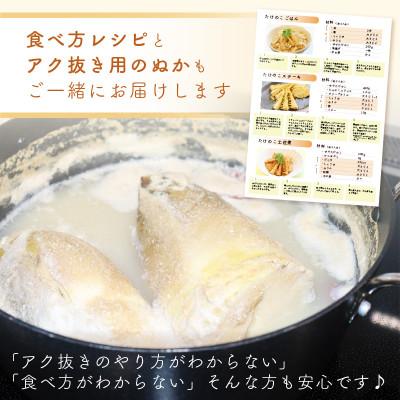 ふるさと納税 越前町 越前町宮崎地区産 たけのこ 約2kg(数量限定)_2