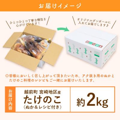 ふるさと納税 越前町 越前町宮崎地区産 たけのこ 約2kg(数量限定)_3