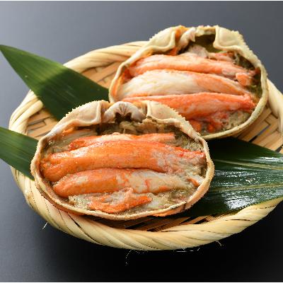 ふるさと納税 越前町 [越前海岸・美味直送シリーズ]越前がに・ズワイ甲羅盛り2個セット