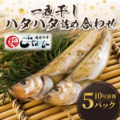 ふるさと納税 越前町 [越前海岸・美味直送シリーズ]一夜干しハタハタ詰合わせ 1kg(200g入×5パック)