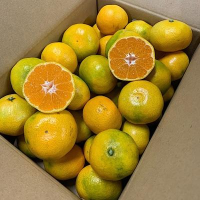 ふるさと納税 湯浅町 [まごころ手選別]和歌山産 有田みかん(極早生)5kg (2S〜L)[2027年10月より発送]