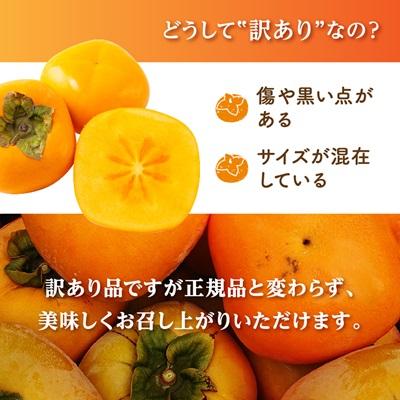 ふるさと納税 橋本市 柿【2026年度発送分】国城観光農園のたねなし柿(家庭用・訳あり)約7.5kg |  | 01