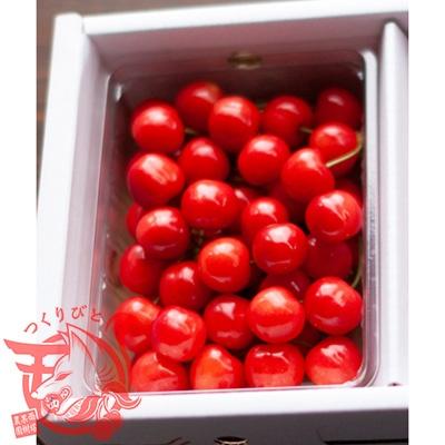 ふるさと納税 中山町 山形県中山町産 さくらんぼ 佐藤錦 特秀L 500g バラ詰め