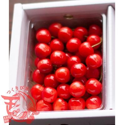 ふるさと納税 中山町 山形県中山町産 さくらんぼ 紅秀峰 秀 L-2L 500g バラ詰め