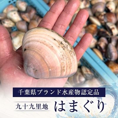 ふるさと納税 旭市 某TV番組で全国一位になった大粒活はまぐり　約3kg 九十九里産 |  | 01