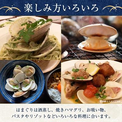 ふるさと納税 旭市 某TV番組で全国一位になった大粒活はまぐり　約3kg 九十九里産 |  | 02