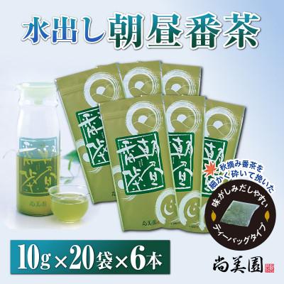 ふるさと納税 宇治田原町 宇治・水出し朝昼番茶ティーバッグ 10g×20個入×6袋 クールサーバー付