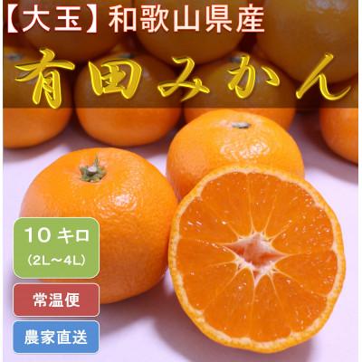 ふるさと納税 美浜町 [大玉] ひだまりみかん家の有田みかん 10kgひとつひとつ手選別で厳選!生産者から直送