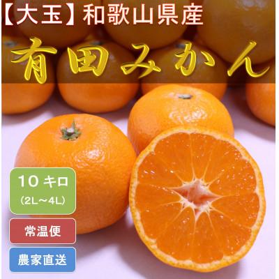 ふるさと納税 湯浅町 [大玉] ひだまりみかん家の有田みかん 10kgひとつひとつ手選別で厳選!生産者から直送