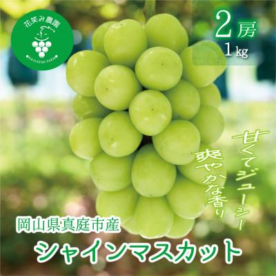 ふるさと納税 真庭市 岡山 花笑み農園の 『シャインマスカット』1kg(2房)