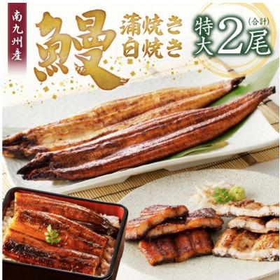 ふるさと納税 久留米市 うなぎの蒲焼き・白焼きセット