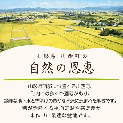 ふるさと納税 川西町 令和7年産　山形県産　つや姫　4kg |  | 03