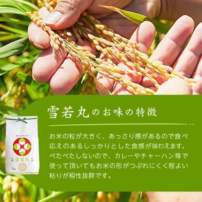 ふるさと納税 川西町 令和7年産　山形県産　雪若丸　10kg(5kg×2袋) |  | 03