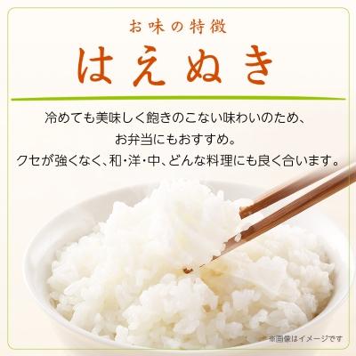 ふるさと納税 川西町 令和8年産　山形県産　はえぬき　10kg(5kg×2袋) |  | 01