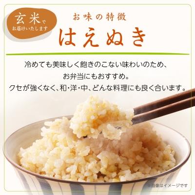 ふるさと納税 川西町 令和8年産　山形県産　はえぬき　玄米　10kg |  | 01