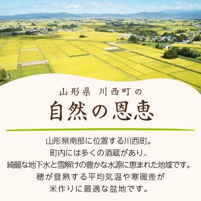 ふるさと納税 川西町 令和8年産　山形県産　はえぬき　玄米　10kg |  | 02