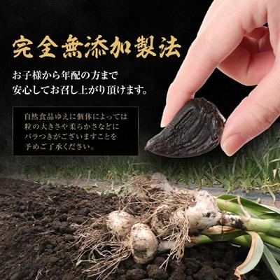 ふるさと納税 十和田市 青森県産熟成黒にんにく【黒宝】500g |  | 03
