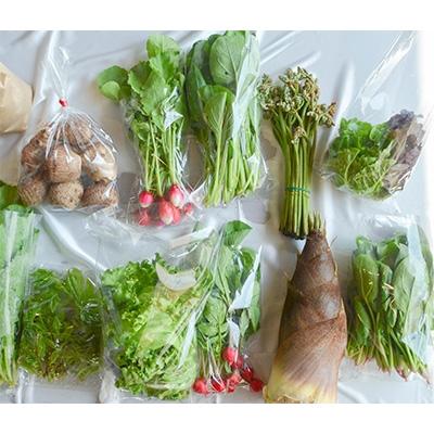 ふるさと納税 勝山市 手作り青大豆味噌2袋と季節の野菜5〜10種類 |  | 01