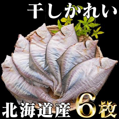 ふるさと納税 古平町 北海道産 干しかれい(大)一夜干し 2尾×3セット