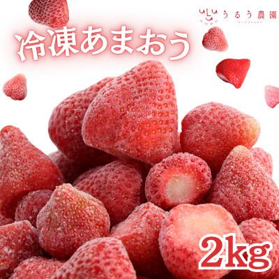 ふるさと納税 太宰府市 うるう農園の冷凍あまおう2kg