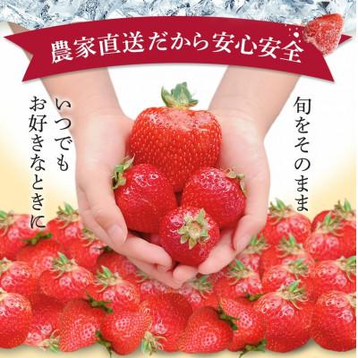 ふるさと納税 太宰府市 うるう農園の冷凍あまおう2kg |  | 01