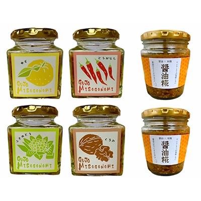 ふるさと納税 郡上市 郡上みそごのみ(120g×4種類)+醤油糀(200g×2個)セット