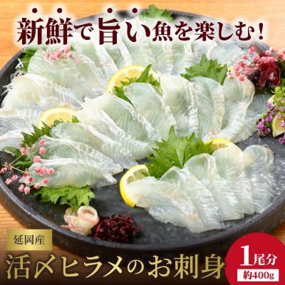 ふるさと納税 延岡市 縁側も美味! 延岡産活〆ヒラメのお刺身